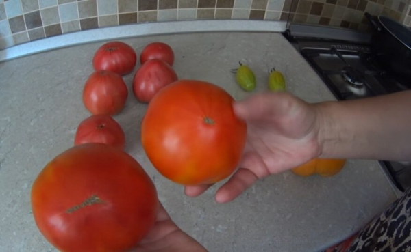 Женские и мужские плоды томатов. На семена выбираем девочек!